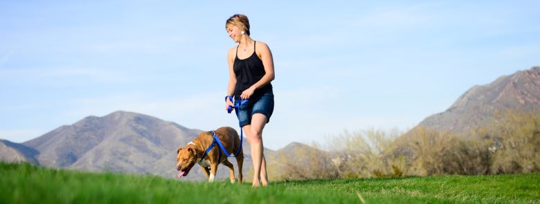 How Walking Can Improve Fitness and Weight Loss